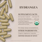 Hydrangea Orgánica 120 Cápsulas - Suplemento Natural de Alta Potencia con Raíz de Hydrangea arborescens