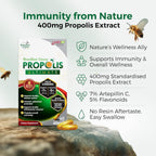 LABO Nutrition Brazilian Green Propolis Ultimate - 60 Cápsulas Vegetales