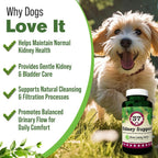 Kidney Support for Dogs – Canine Herbal Supplement for Kidneys and Bladder – 90 Capsules