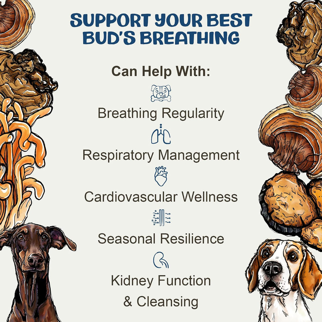MycoDog Breathe - Gotas para Alergias Caninas, 60 ml: Extractos de Hongos y Ashwagandha | Apoyo Respiratorio