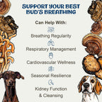 MycoDog Breathe - Gotas para Alergias Caninas, 60 ml: Extractos de Hongos y Ashwagandha | Apoyo Respiratorio