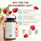 HerbEra Hojas de Frambuesa Roja Orgánicas – Bienestar Femenino, Rubus Idaeus, 60 Cápsulas Veganas