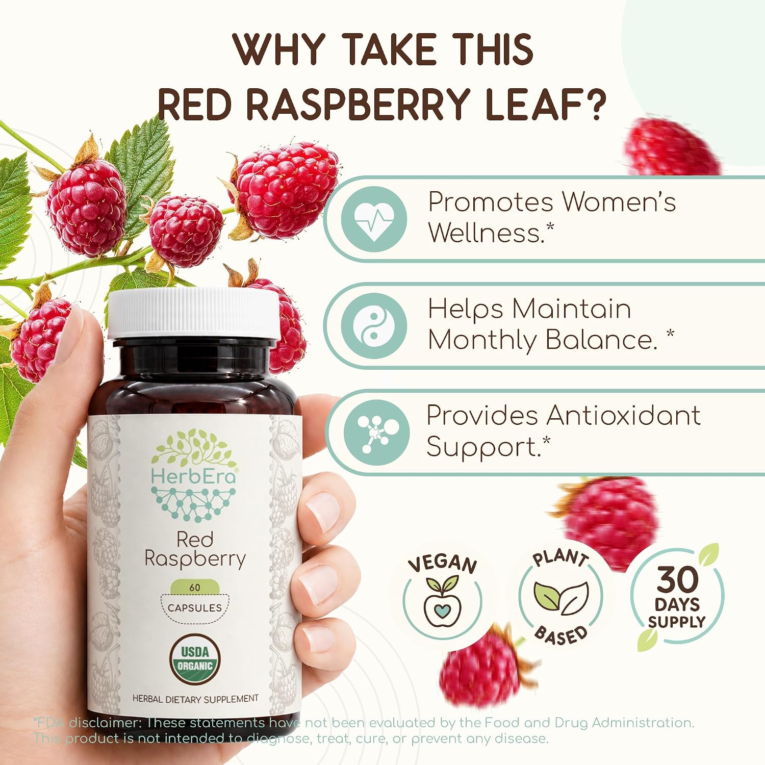 HerbEra Hojas de Frambuesa Roja Orgánicas – Bienestar Femenino, Rubus Idaeus, 60 Cápsulas Veganas
