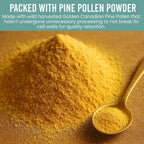 Holistic Bin Polen de Pino Orgánico en Polvo - Grado Farmacéutico, 20 g