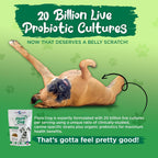 Vital Planet Flora Dog Probiotics for Dogs, 30 Bacon Flavored Chewables