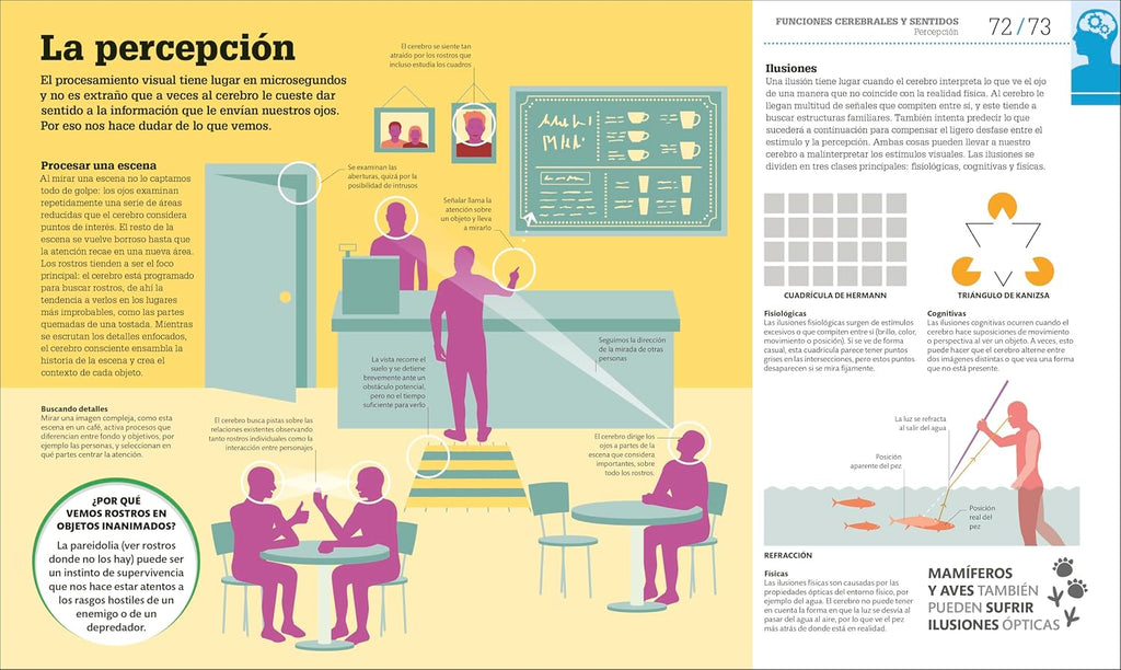 Cómo funciona el cerebro (How the Brain Works) (DK How Stuff Works)