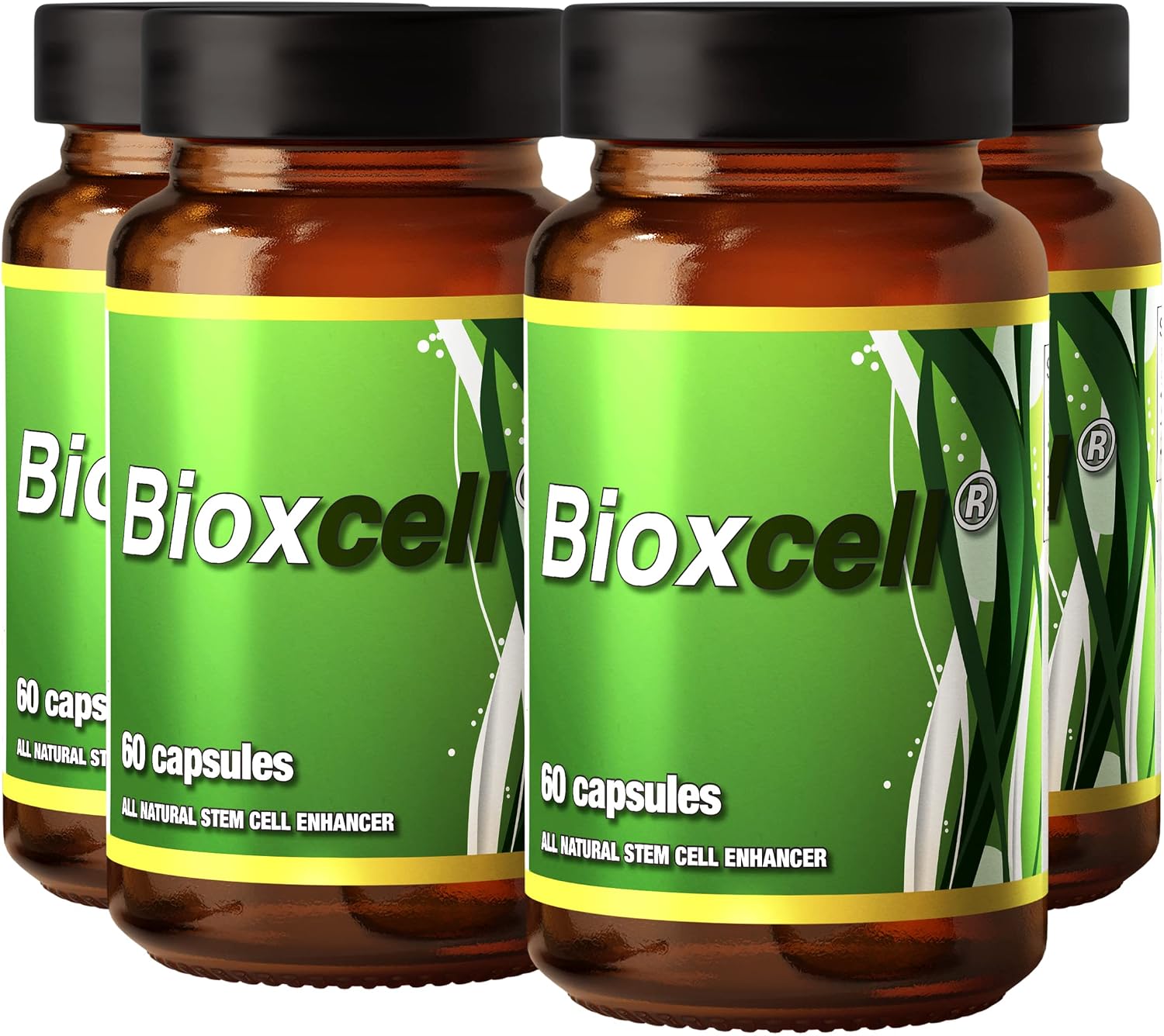 Bioxcell Stem Cell Enhancer - 60 Cápsulas (Pack de 12)