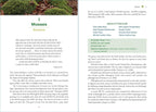 Moss Medicine: Indigenous Wisdom and Modern Pharmacology