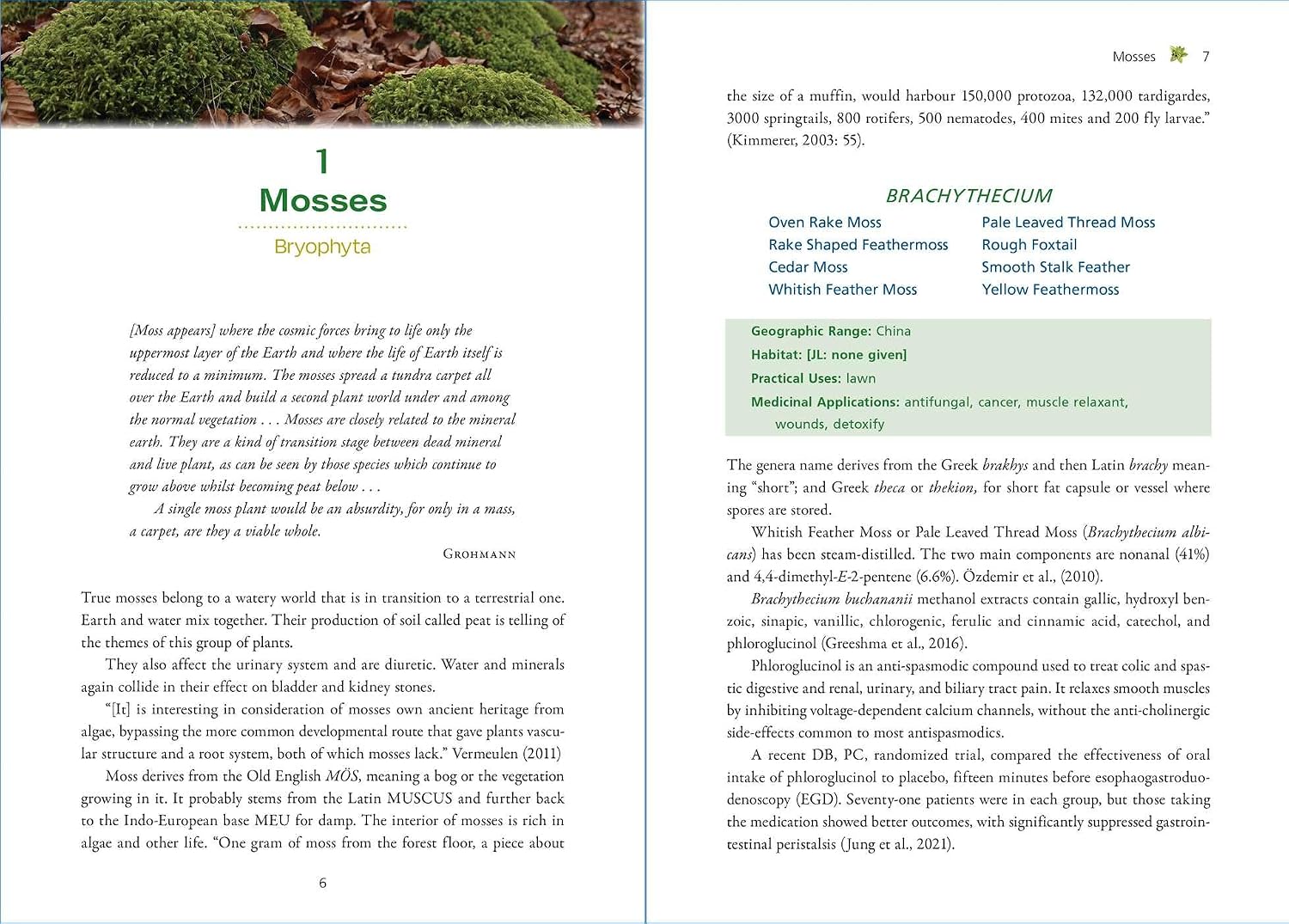 Moss Medicine: Indigenous Wisdom and Modern Pharmacology