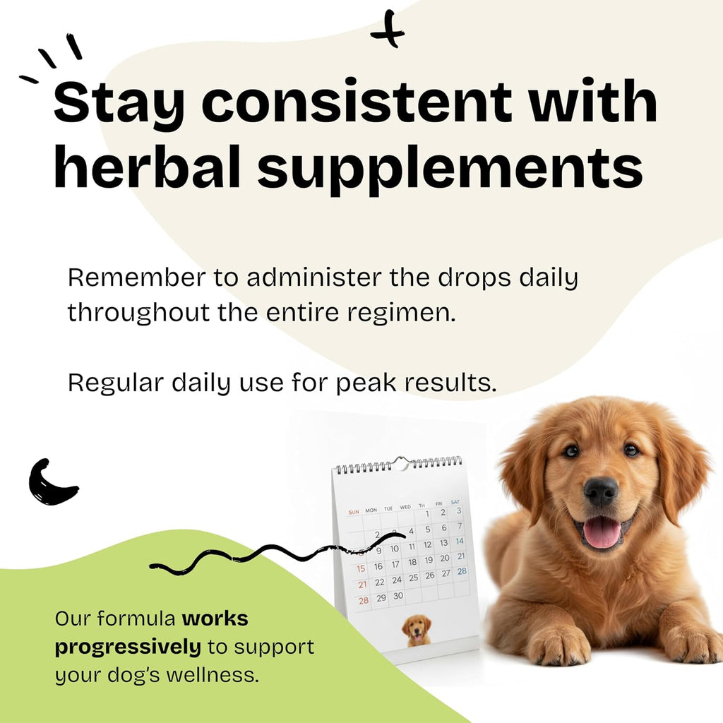 Gotu Kola Drops para Perros - Extracto de Centella Asiática - 60 ml