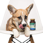 Petnc Senior Multi Chewables (60 comprimibles) - Multivitamínico y mineral para perros mayores, sabor a hígado