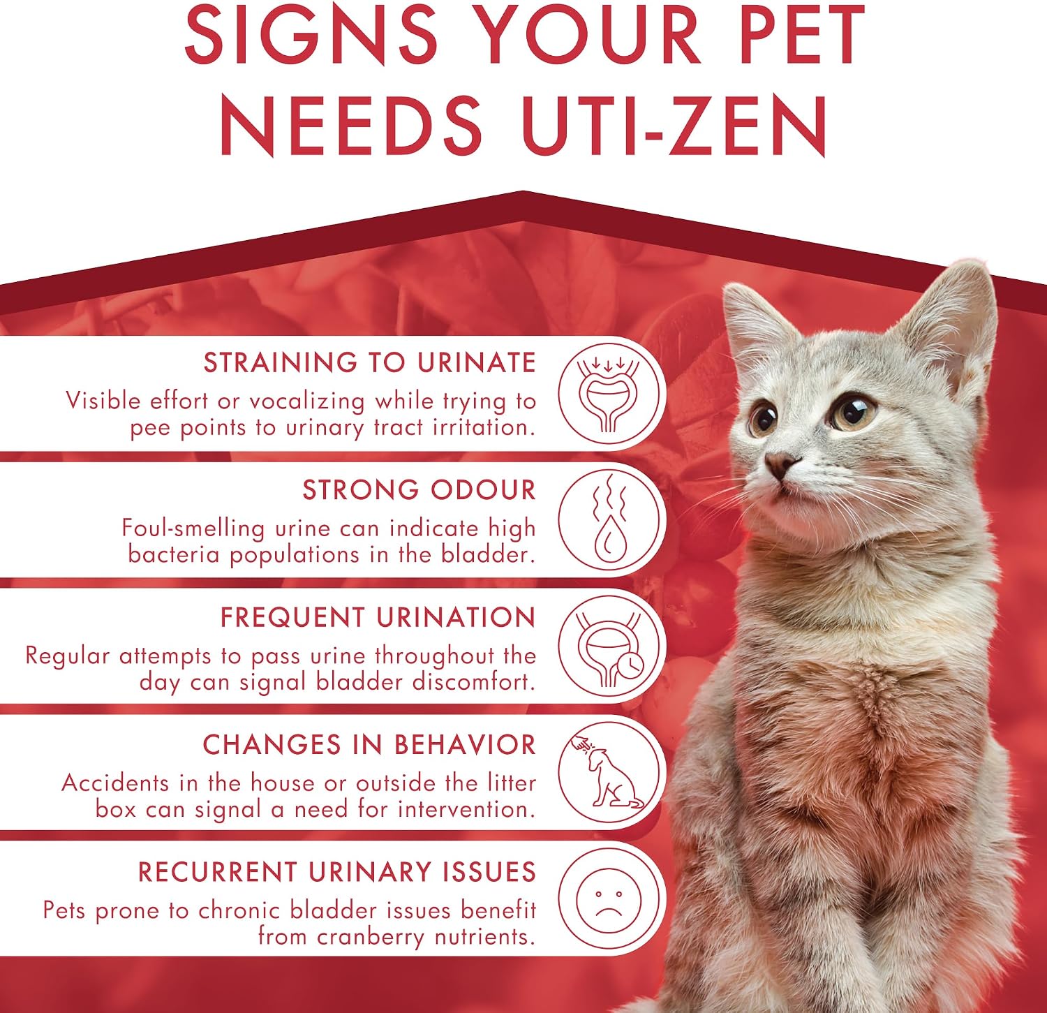 Dermoscent UTI-Zen Cranberry Comprimidos para Perros y Gatos - Suplemento Alimenticio para la Salud de la Vejiga, Riñones y Tracto Urinario - Sabor a Pollo - 30 Comprimidos
