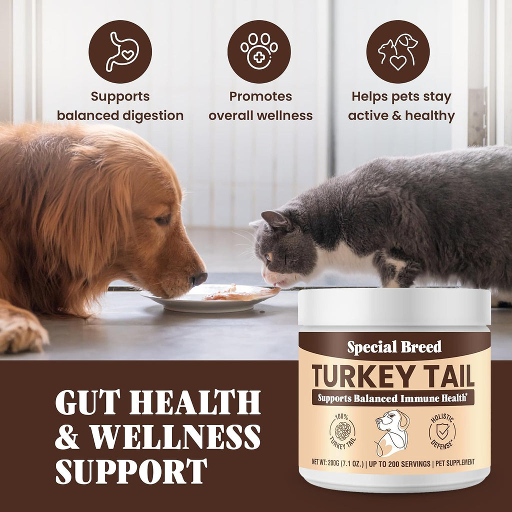 Special Breed Cola de Pavo Orgánica para Perros y Gatos – 200 cápsulas