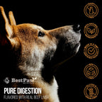 Best Paw Nutrition Probióticos para Perros con Enzimas Digestivas y Probióticos - Polvo Sabor Hígado de Res - 184g