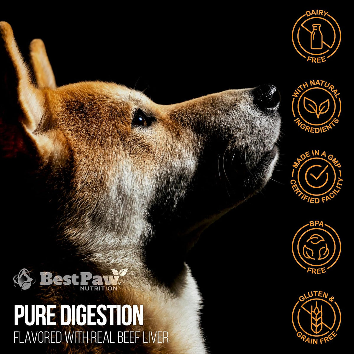 Best Paw Nutrition Probióticos para Perros – Función intestinal regular: La fibra de la calabaza y los – Image 10