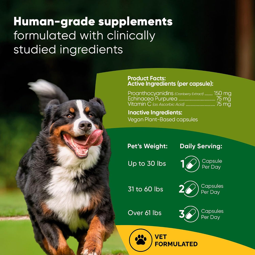 Rooted Owl Urinary Support para Perros - Suplemento con Arándano Rojo, Equinácea y Vitamina C - 60 Cápsulas