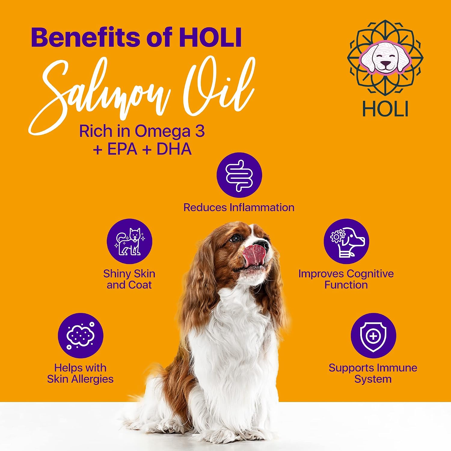 HOLI Aceite de Salmón para Perros y Gatos | Aceite de Pescado Islandés | Omega 3 EPA + DHA Apoya la Movilidad Articular, Salud Inmunológica y Cardíaca | Líquido