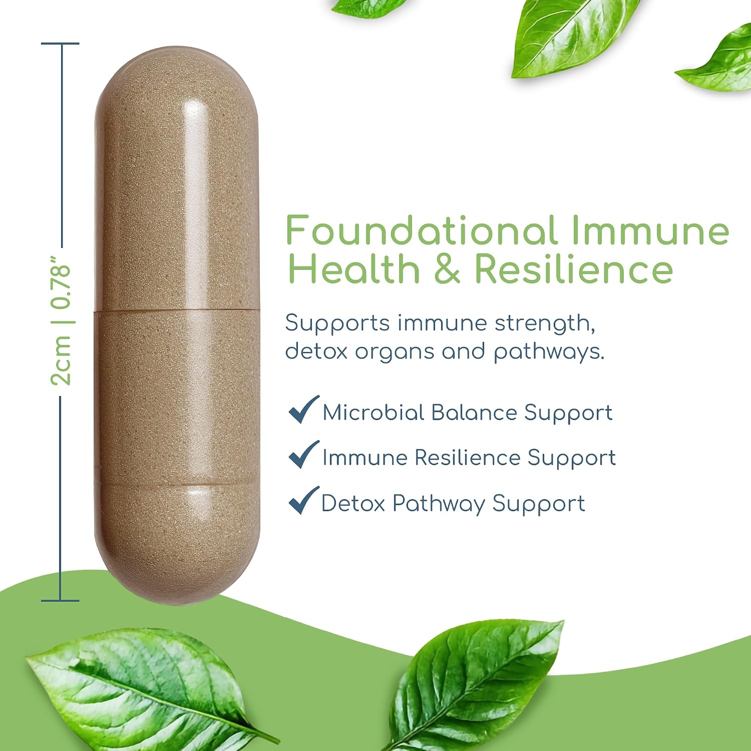 Return Healthy Cryptolepis Synergy – Complemento de apoyo inmunológico, 120 cápsulas