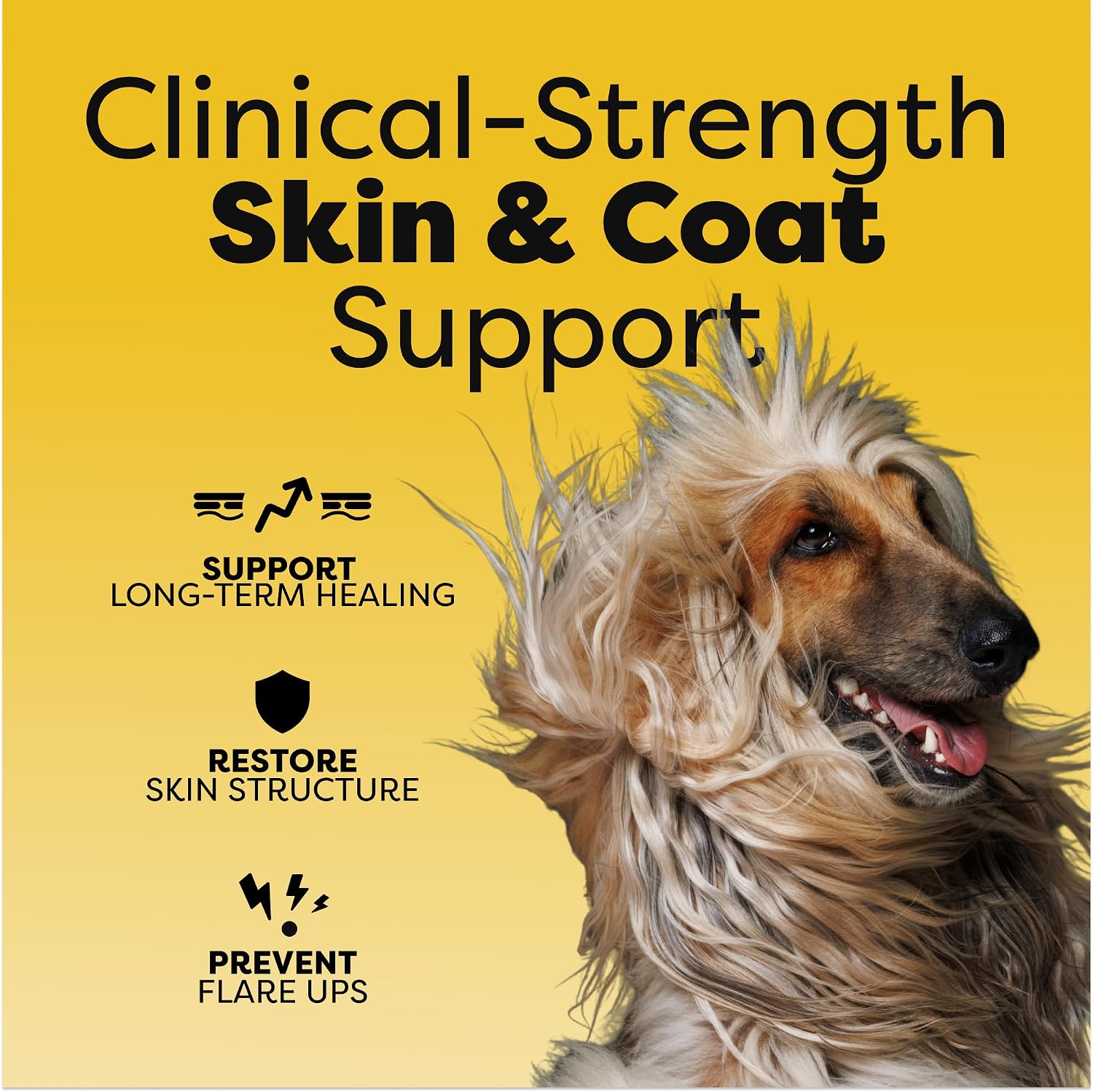 Suplemento Médico para Piel, Pelo y Uñas de Perros | Vitamina A, Niacinamida y EPA Omega 3 | 90 Masticables