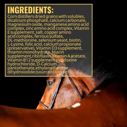 Adeptus Nutrition Augment Vitamin & Mineral Balancer para Caballos – Image 3