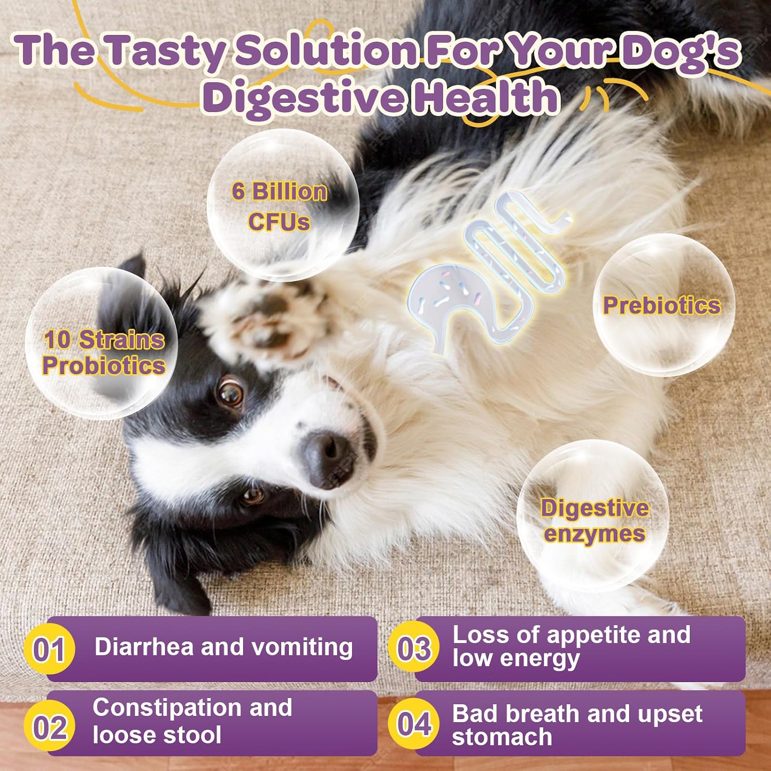 Probióticos para Perros – 6 Billones de UFC y 10 Cepas con Prebióticos, Omega-3, Enzimas Digestivas y Multivitaminas, Masticables Sabor Pato para Salud Digestiva e Inmune, 120 Chews