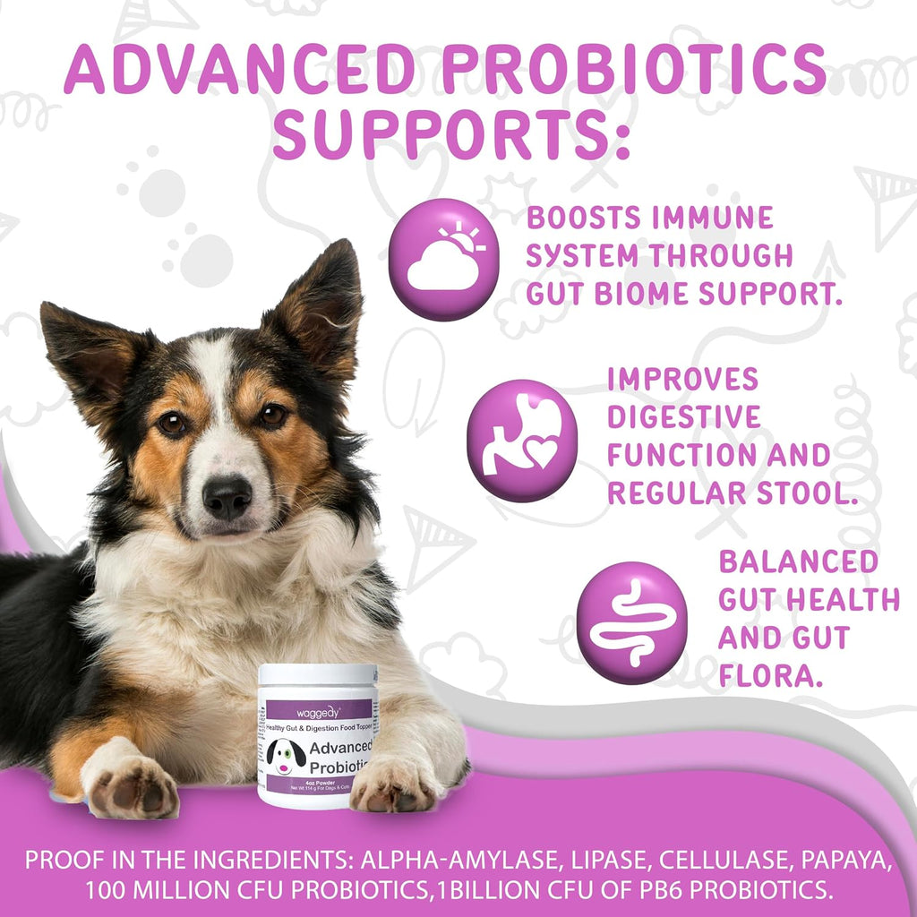 Waggedy Advanced Dog Probiotics Gut and Digestion Food Topper – Probiótico en polvo con enzimas digestivas y papaya – Probióticos suaves para perros de 6 semanas en adelante – Apoya el equilibrio intestinal, el confort y la salud inmunitaria