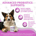 Waggedy Advanced Dog Probiotics Gut and Digestion Food Topper – Probiótico en polvo con enzimas digestivas y papaya – Probióticos suaves para perros de 6 semanas en adelante – Apoya el equilibrio intestinal, el confort y la salud inmunitaria
