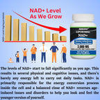 Nikoni Liposomal NAD+ 2000 mg con TMG y Pterostilbeno - 60 Cápsulas Blandas