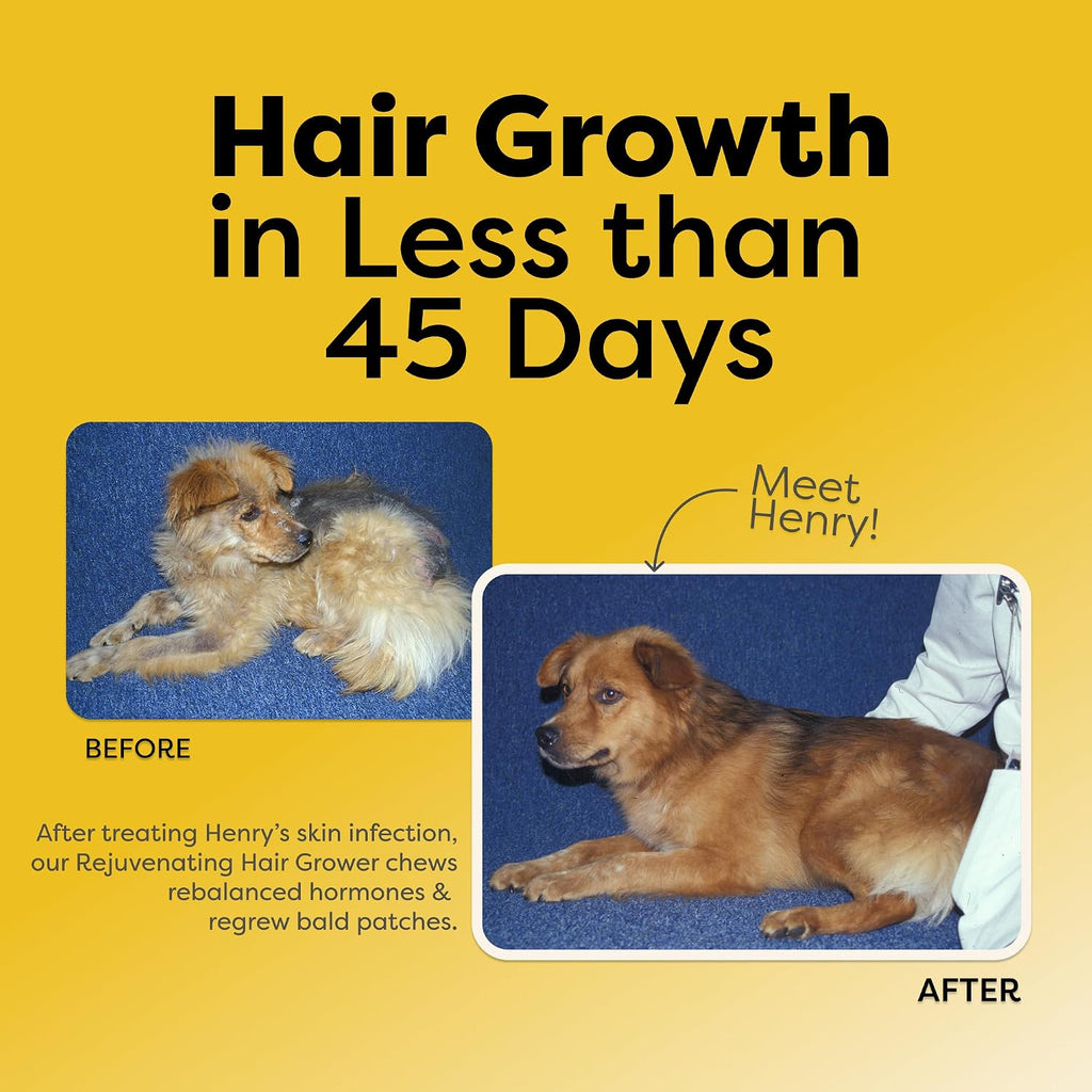 Doc Itchy Rejuvenating Hair-Grower Chews para Perros - 90 Unidades