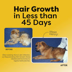 Doc Itchy Rejuvenating Hair-Grower Chews para Perros - 90 Unidades