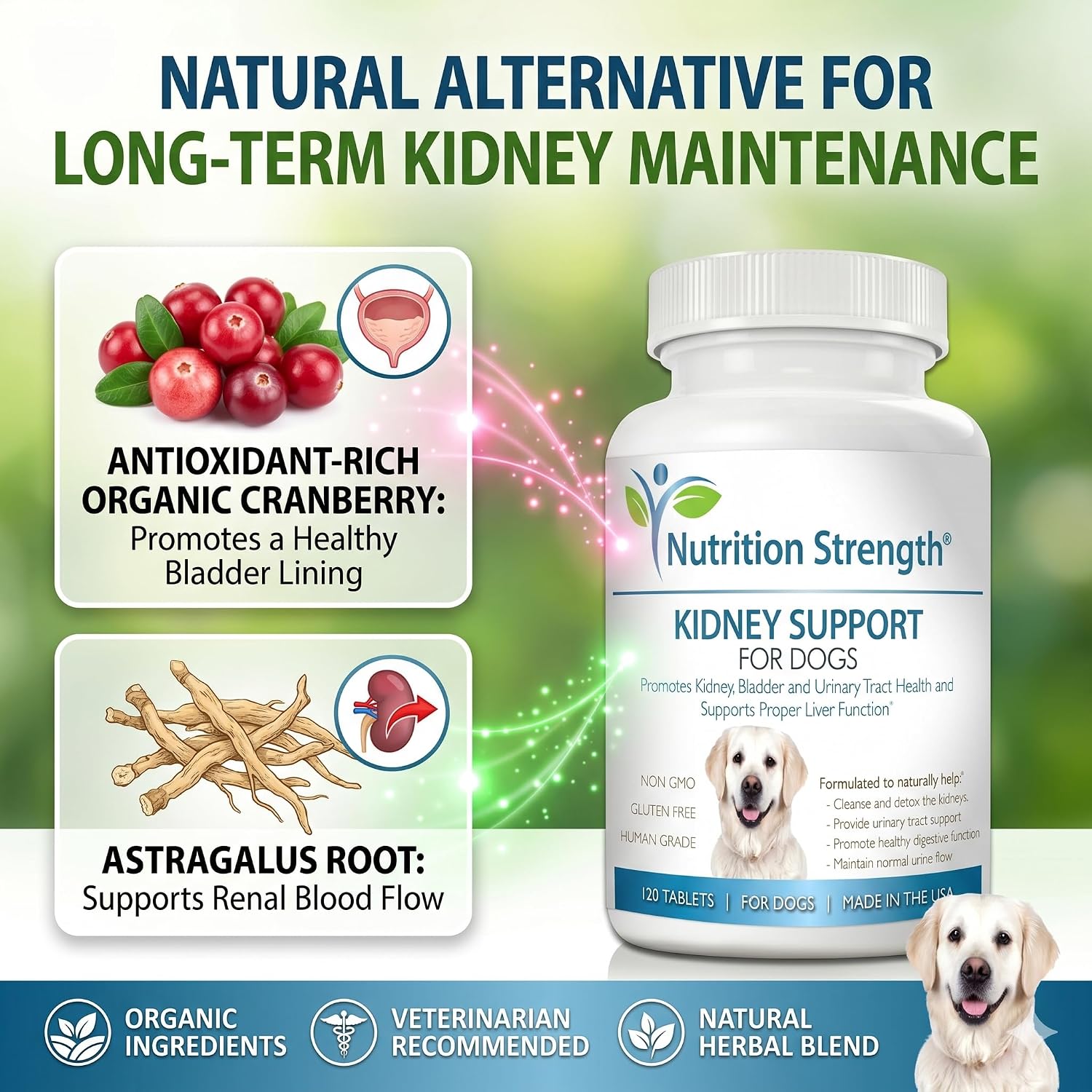 Nutrition Strength Kidney Support for Dogs - Apoyo Renal, Vejiga y Tracto Urinario, con Arándano Rojo Orgánico y Astrágalo, 120 Comprimidos Masticables