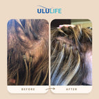 ULULIFE Multivitamínico Completo para Hombres y Mujeres - Biotina, Colágeno, Keratina - 180 Cápsulas (60 Días)