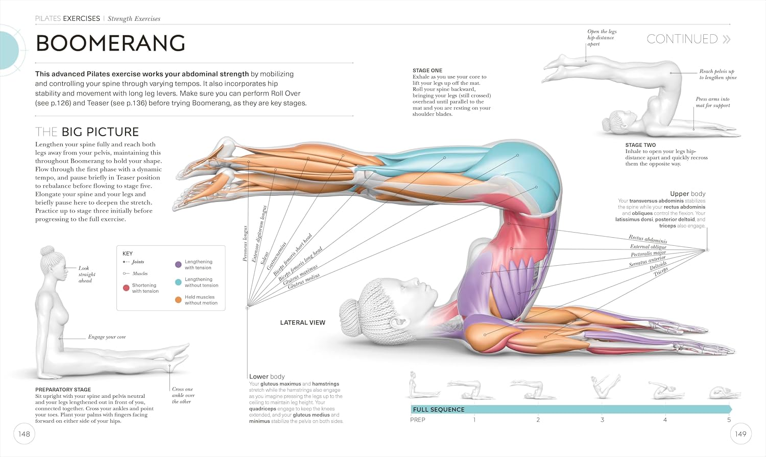 Science of Pilates: Understand the Anatomy and Physiology to Perfect Your Practice