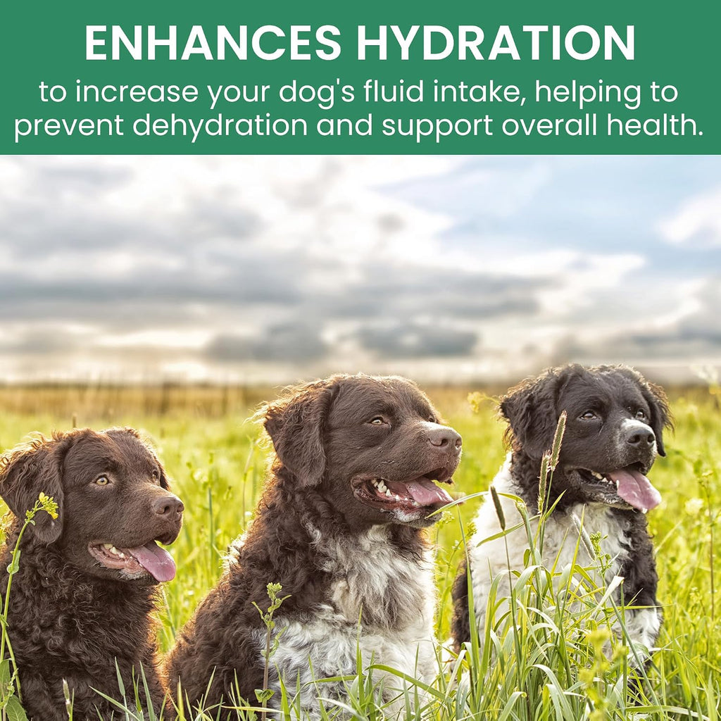 Canine Gut Biome Blend de Holistic Bin - Topper Nutricional con Probióticos y Prebióticos para Perros (50g)