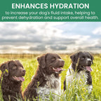 Canine Gut Biome Blend de Holistic Bin - Topper Nutricional con Probióticos y Prebióticos para Perros (50g)
