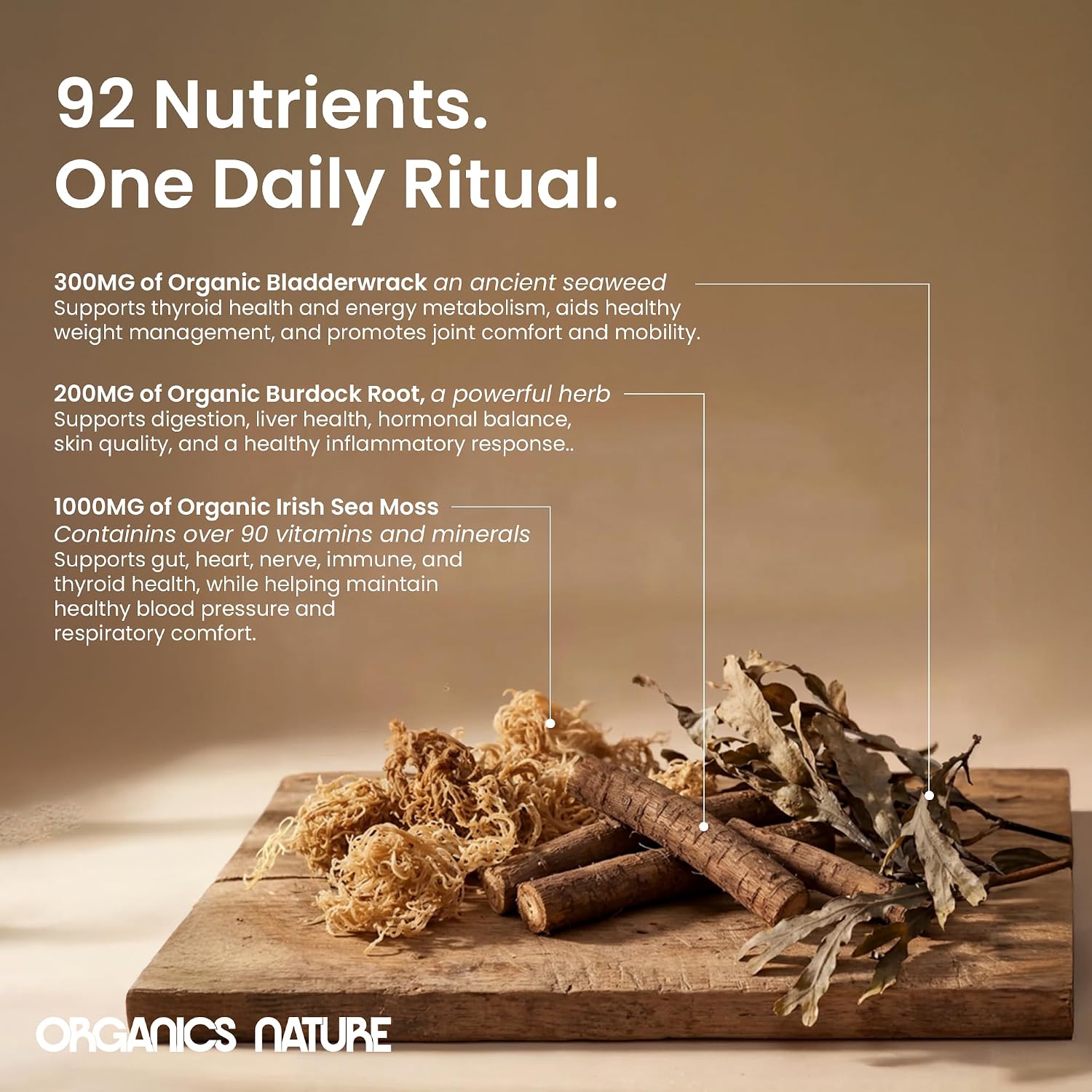 ORGANICS NATURE Irish Sea Moss Cápsulas 90 uds | Suplemento de Algas Marinas con Burdock y Bladderwrack