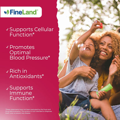 FineLand Extracto de Granada 20:1, 40% Ácido Elágico Estandarizado, Suplemento Antioxidante, 120 Cápsulas Veganas – Image 4