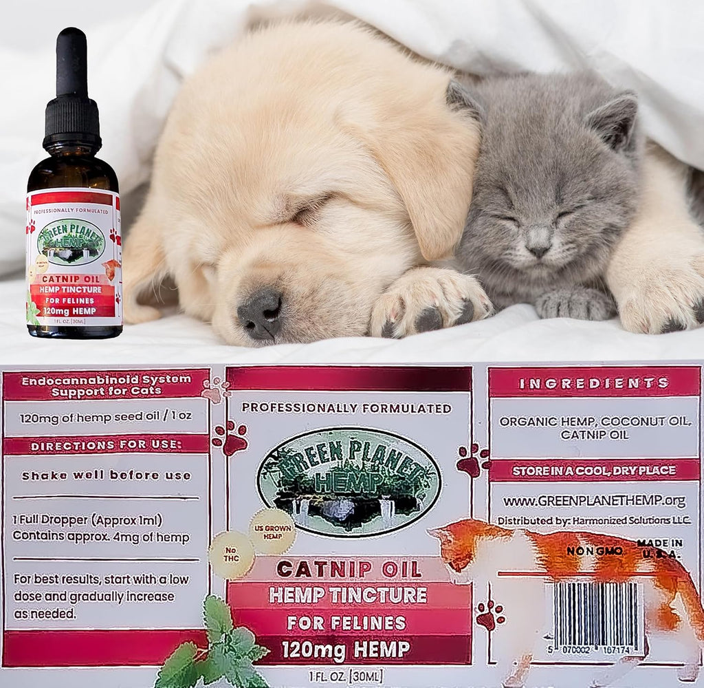 Pet Hemp Oil - Aceite de Cáñamo y Hierba Gatera para Perros y Gatos | 120mg Orgánico | Green Planet Hemp