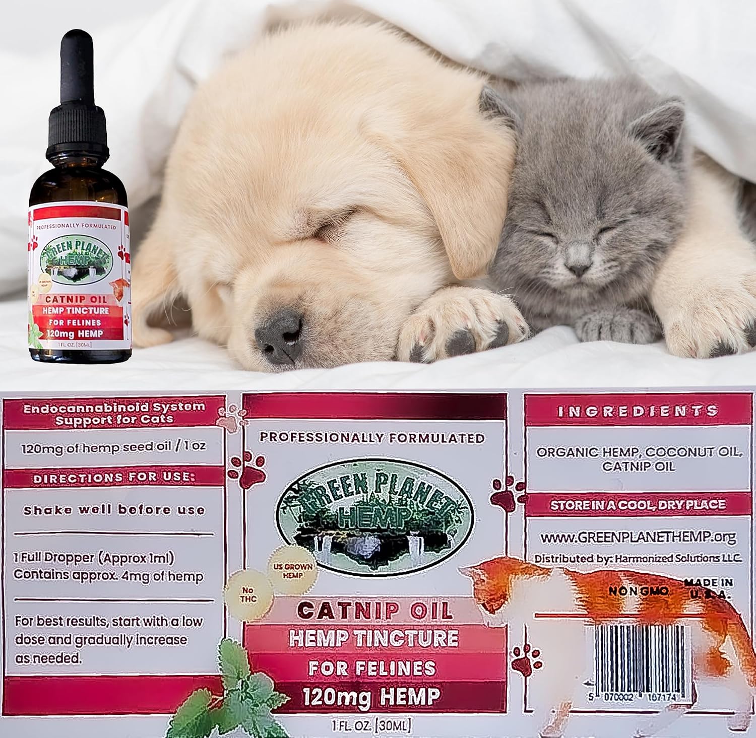 Pet Hemp Oil - Aceite de Cáñamo y Hierba Gatera para Perros y Gatos | 120mg Orgánico | Green Planet Hemp