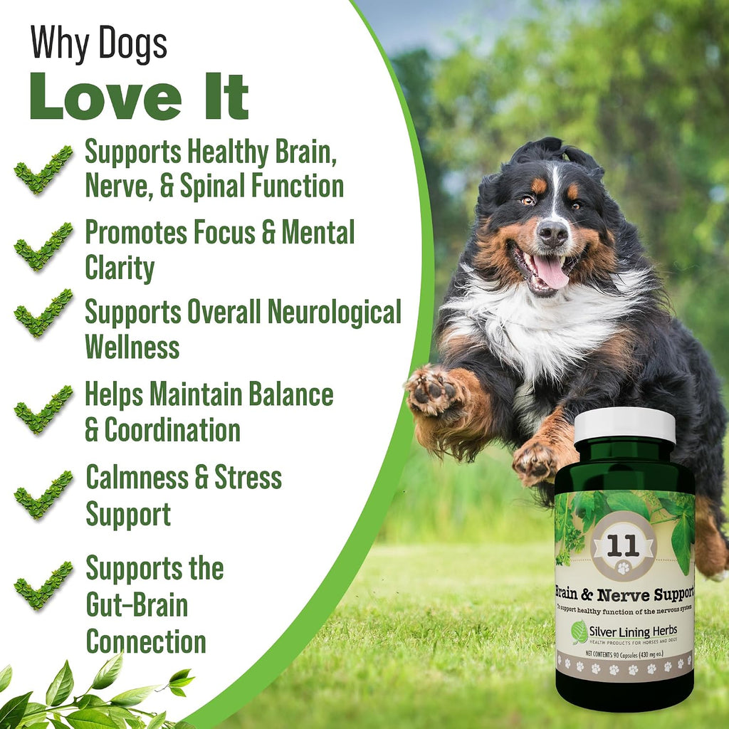 Silver Lining Herbs Suplemento cerebral y nervioso para perros - 90 Cápsulas