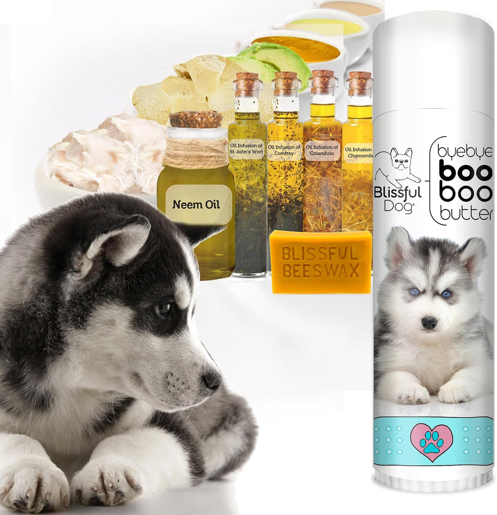 The Blissful Dog Husky Booboo Butter - Tubo de 0.50 oz