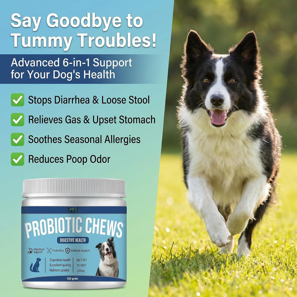 Probióticos para perros 120 masticables con enzimas y calabaza