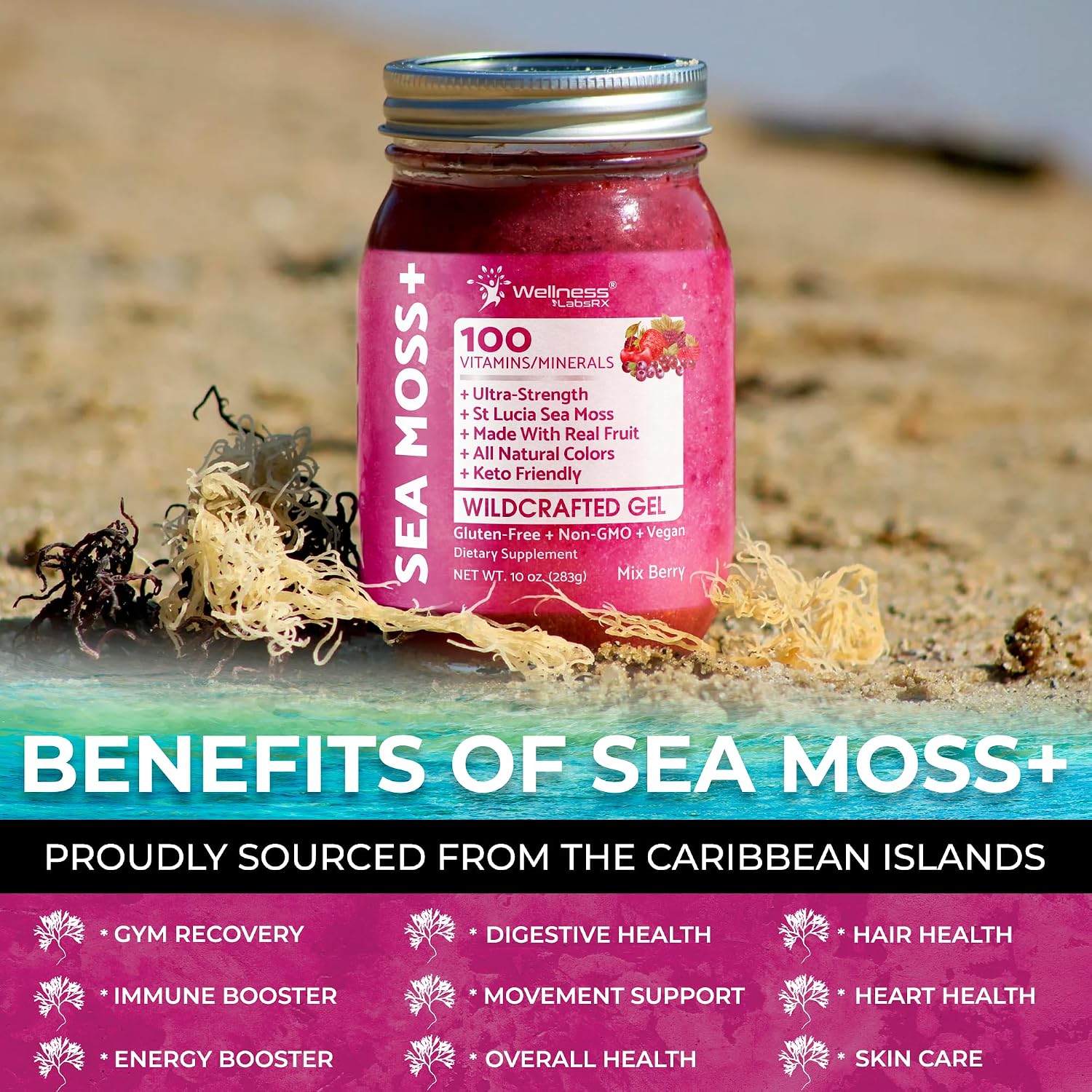 WELLNESS LABSRX Irish Sea Moss Gel Raw - Mix Berry - 283 g