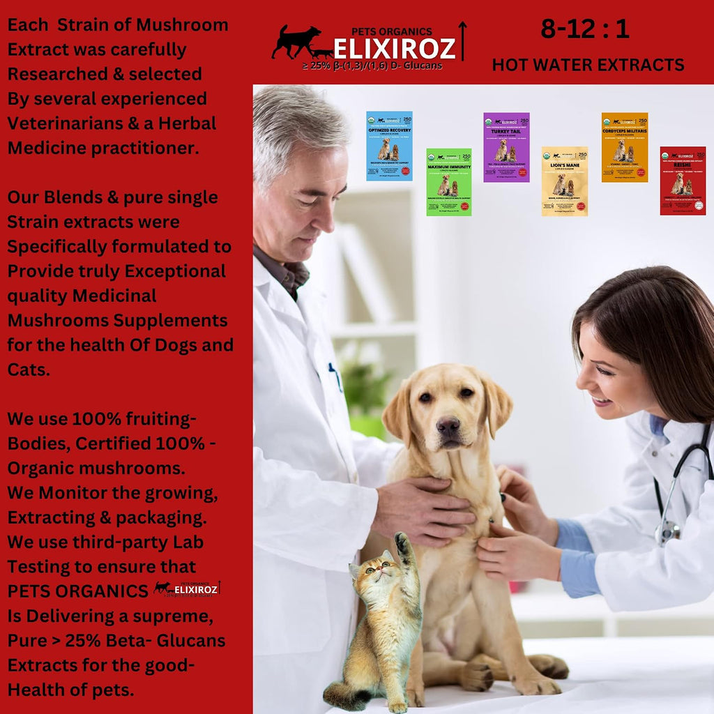Extracto de Reishi para Perros y Gatos – 35%+ Beta Glucanos – Cuerpo Fructífero (Concentrado 8:1-12:1) – Apoyo Inmunitario, Calma y Relajación – Sin Rellenos – 250 dosis