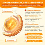 Gominolas de Vitamina C Liposomal 1000 mg con Zinc, Saúco, Vitaminas A y E - Tcemundry