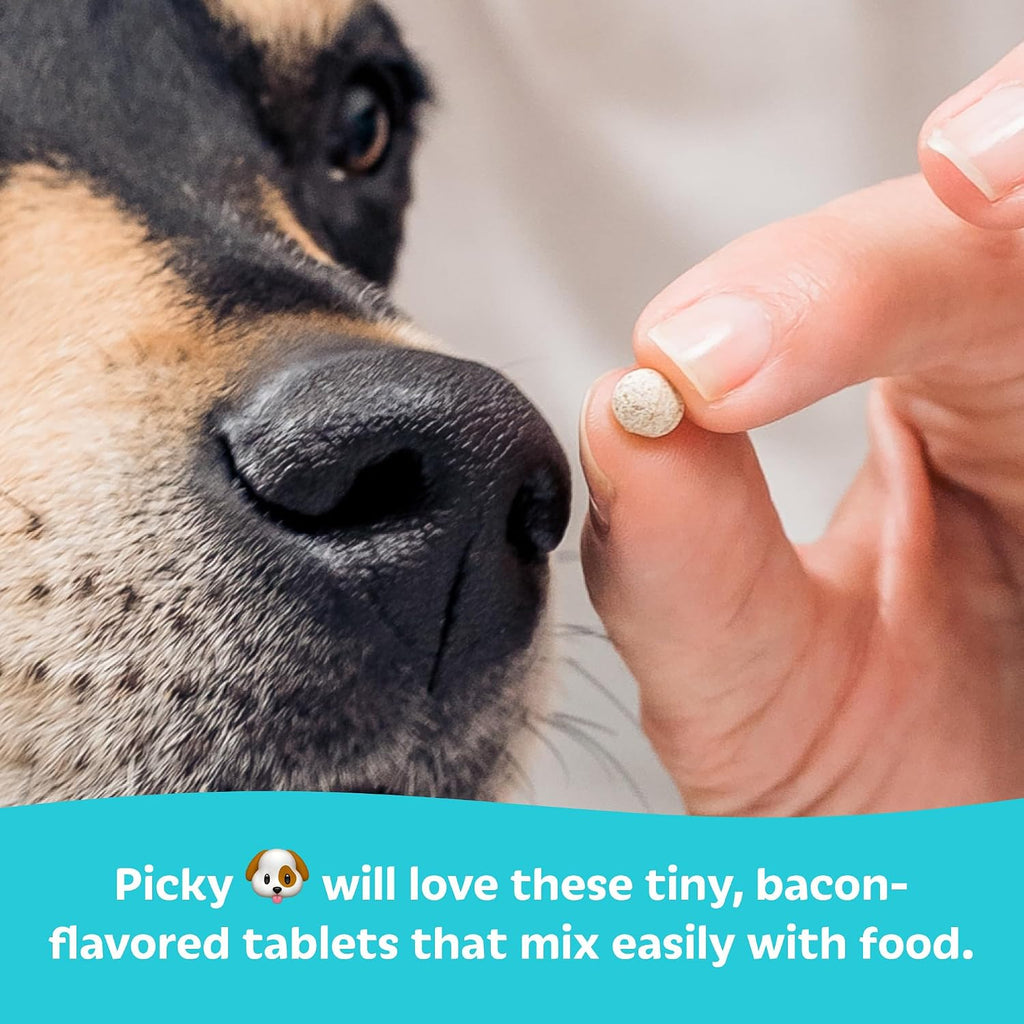 Tails 'N' Tummies Probióticos para Perros - 60 Tabletas para Alergias, Picazón y Salud Digestiva