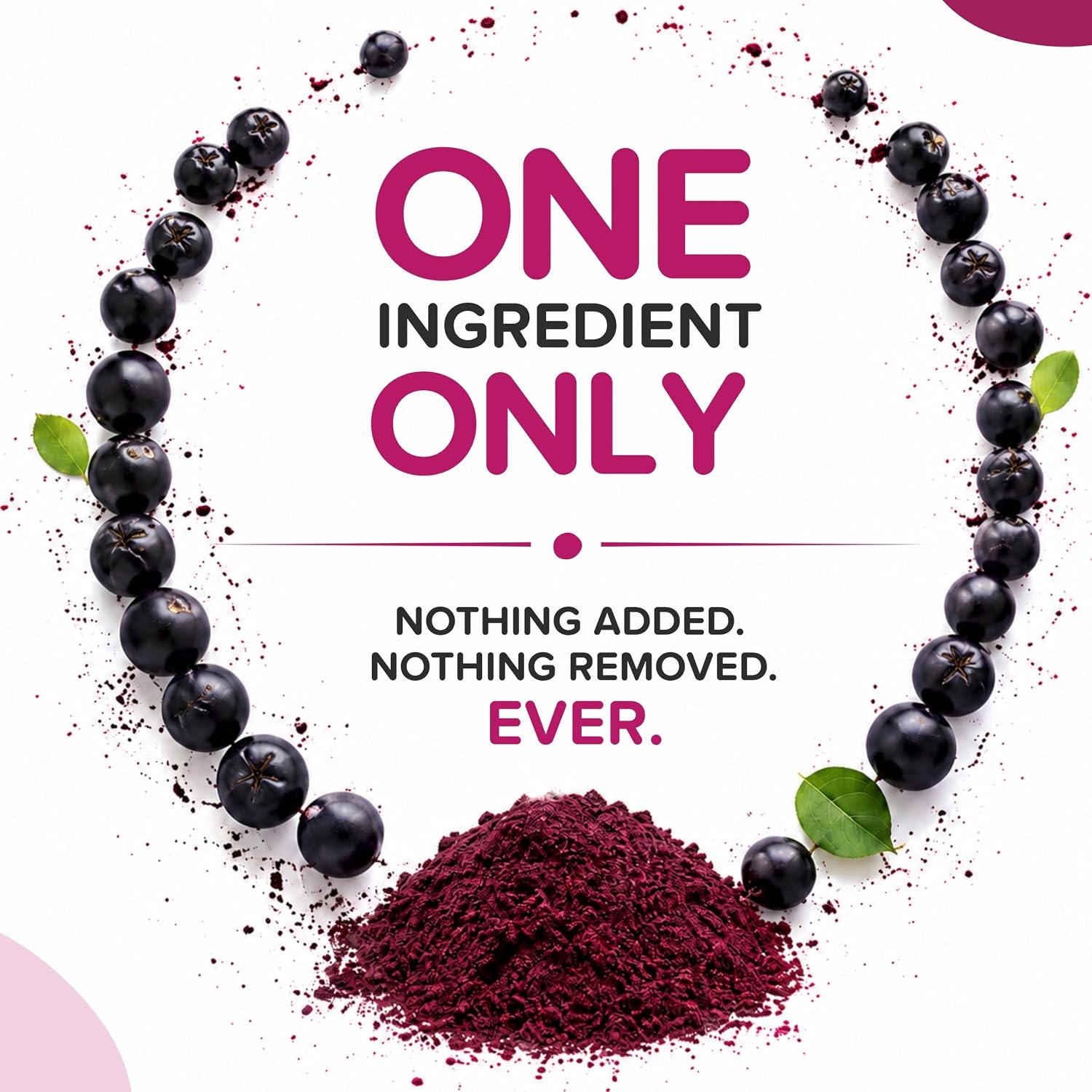 Polvo de Aronia Natural - Bayas de Chokeberry Negro (453g)