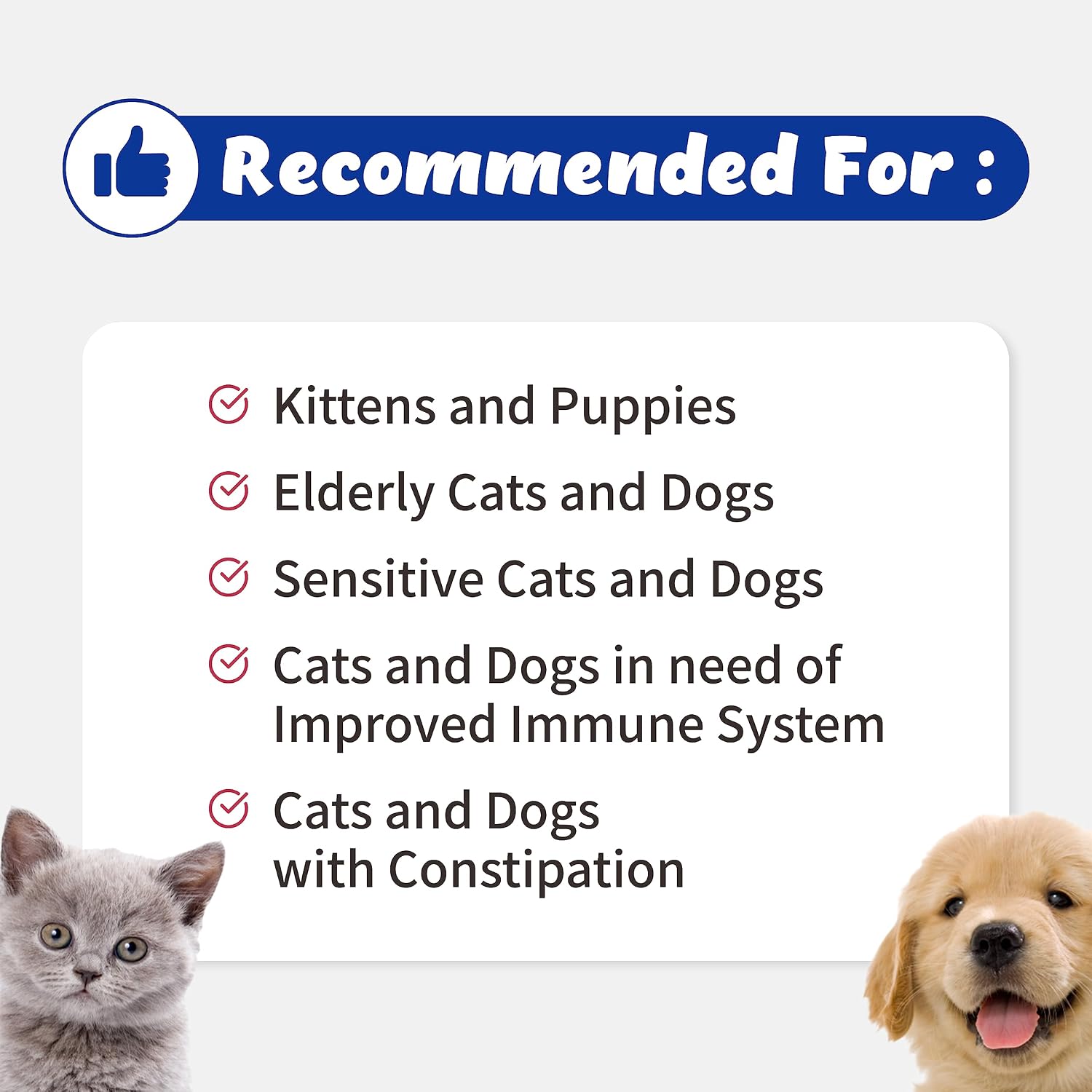 Branvine Probióticos Líquidos para Perros y Gatos - 6 Cepas con Prebióticos (60 ml)