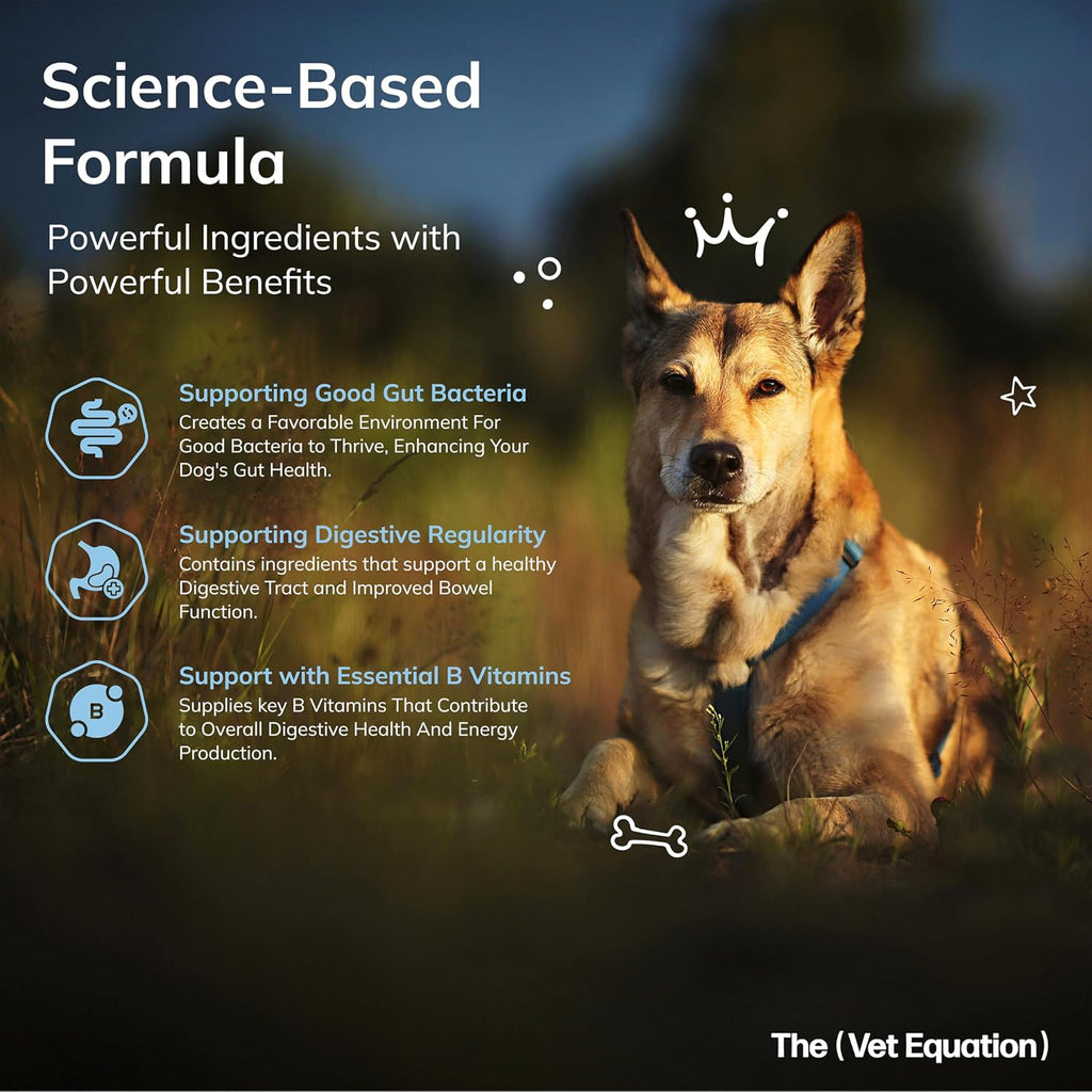 The Vet Equation Probióticos y Prebióticos para Perros – Masticables Digestivos – Sabor Pato Natural – 90 Unidades