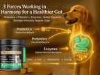 Deluxe Naturals Probiotic Soft Chews for Dogs – 270 Count (3 x 90ct) – Digestive & Immune Support with 9 Probiotics, 8 Enzymes, 2 Prebiotics & 5 Vital Nutrients – Chicken Flavor